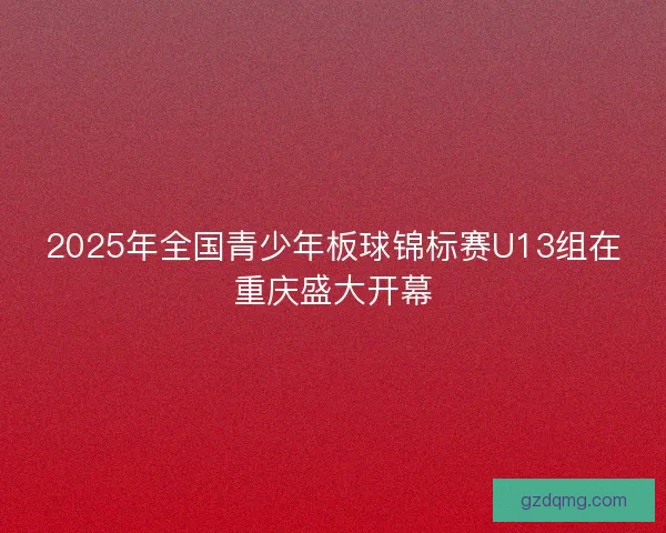2025年全国青少年板球锦标赛U13组在重庆盛大开幕