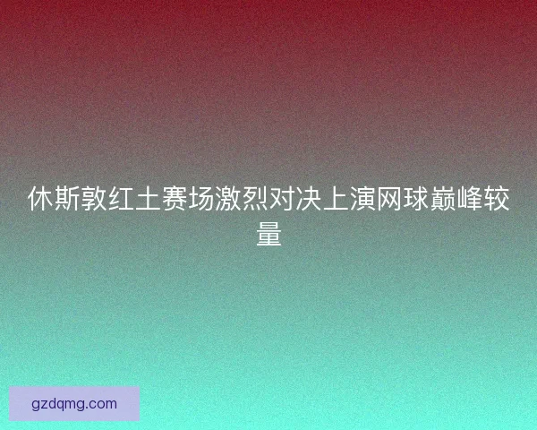 休斯敦红土赛场激烈对决上演网球巅峰较量