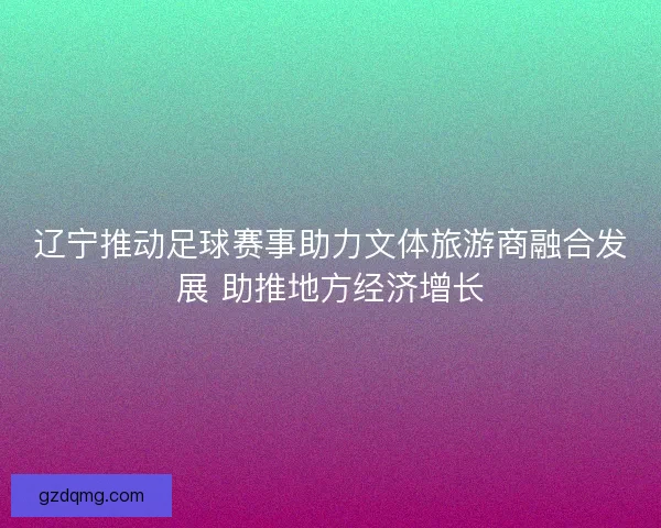 辽宁推动足球赛事助力文体旅游商融合发展 助推地方经济增长